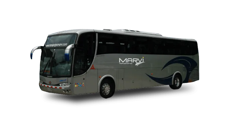 Bus